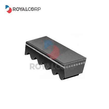 Raw Edge tishli V kamarlari